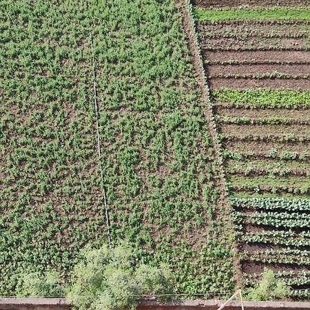 Untrained & Unplanned Διαμέρισμα Jabalpur Εξωτερικό φωτογραφία